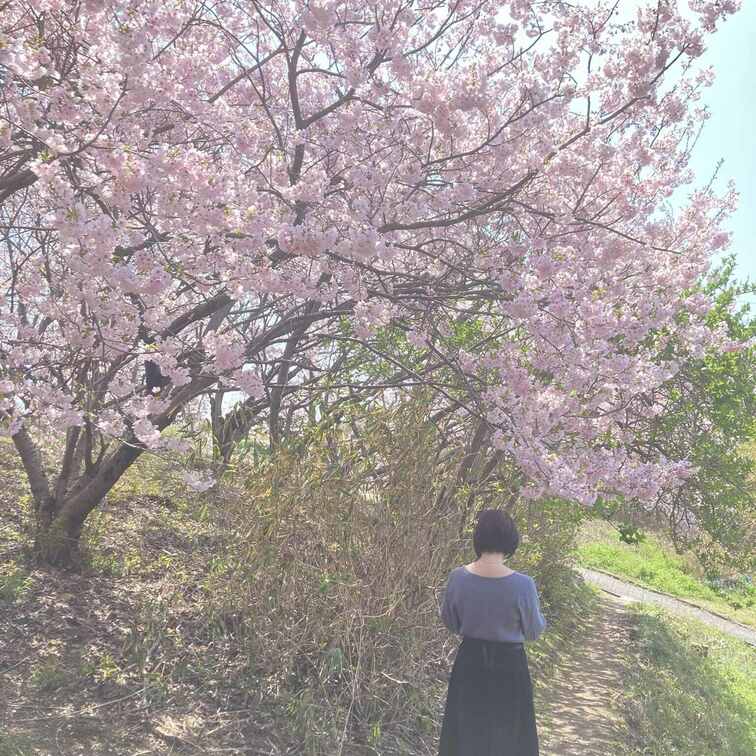 お花見行って来ました。
嫁ちゃんと3月の終わりに、○○○には内緒で有給合わせて内緒のデートです。