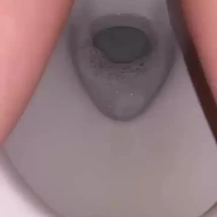 今日のぽぽぽのおしっこ動画🥰