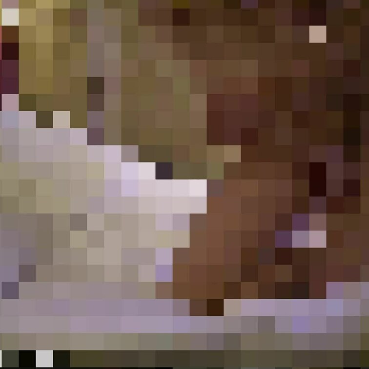 こちらは過去にアップしたバックナンバーの動画になります。
一部モザイク漏れが生じた為、修正及び再アップロード致します。