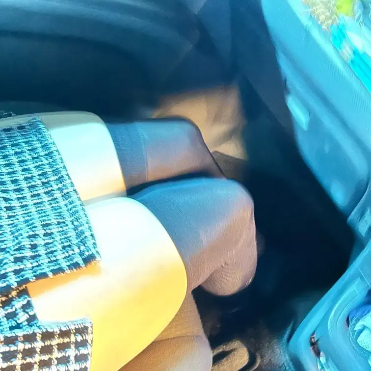 ドライブ