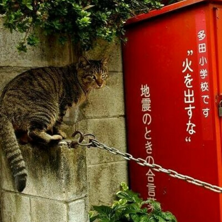 狭いところに乗っちゃえ