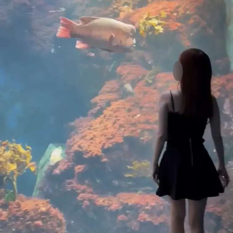 水族館行ってきた🐟💞
イルカショー最高だった🐬