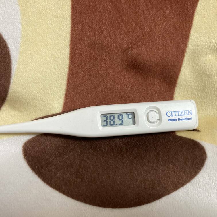ごめんなさい。
数日間ほど投稿お休みさせて下さい😭