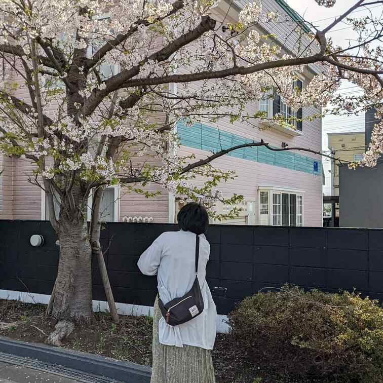 桜のきせつですね。たまには普通の写真は如何です？