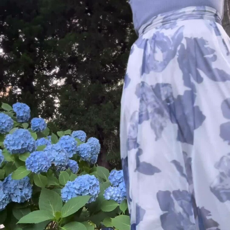 ちょっとだけ…紫陽花色🐌