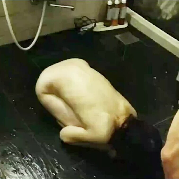 人妻マ○コ使い倒してやった後は感謝の土下座

頭から小便かけて踏みつけてから
旦那の元に帰らせます笑