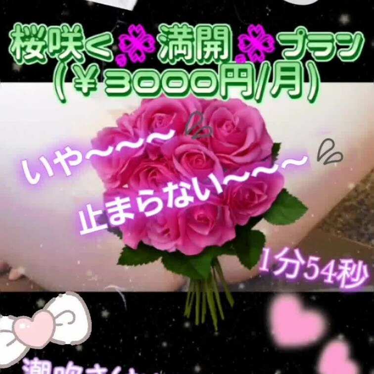 🌸満開🌸プランで投稿している
サムネイルの詰め合わせになります✨️