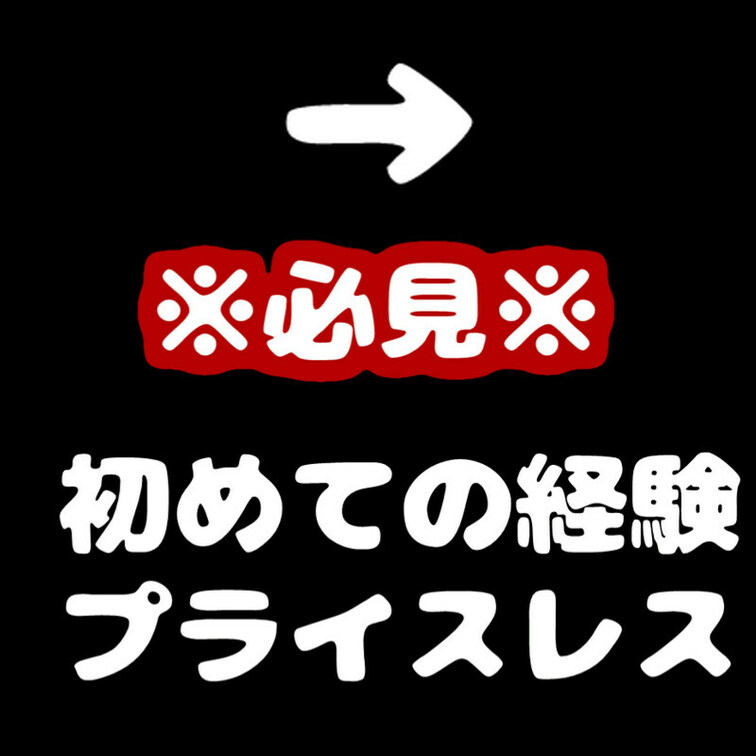 固定投稿用しおり