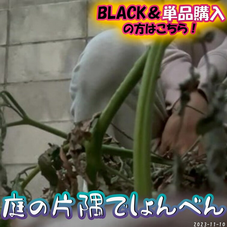 11/10(金)🏠庭の隅でしょんべん🏠
○○○が🚽を使用していて仕方なくお庭でおしっこする○○○、という設定。
--