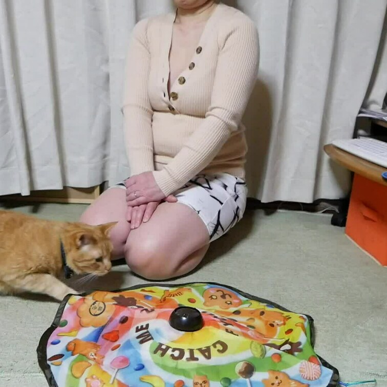 以前住んでいた家での猫との遊び風景です。某大手動画サイトには危なすぎてアップできない動画です。胸元からおっぱいが・・・見