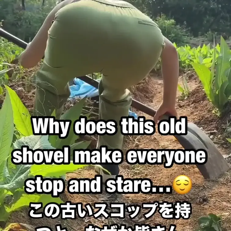 あら？赤くなるのって、植物だけじゃないんですね🌱