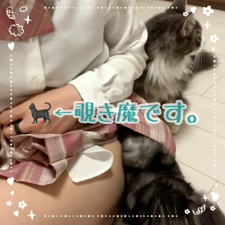 スカートの中覗かれた🥹💓

【みみからのお願い💕】 
えっちだと思ってくれた方は 
写真下の♡印をポチッとしてく