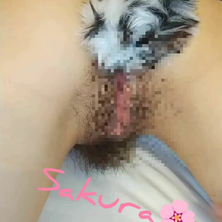 しっぽフリフリ、うさぎさん🤭💕