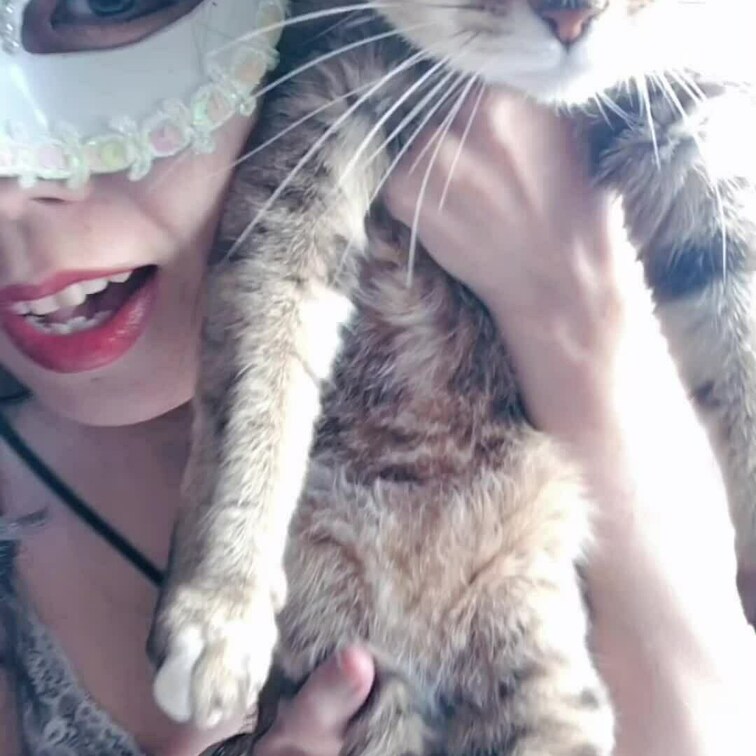 【再掲】まったり動画🐈