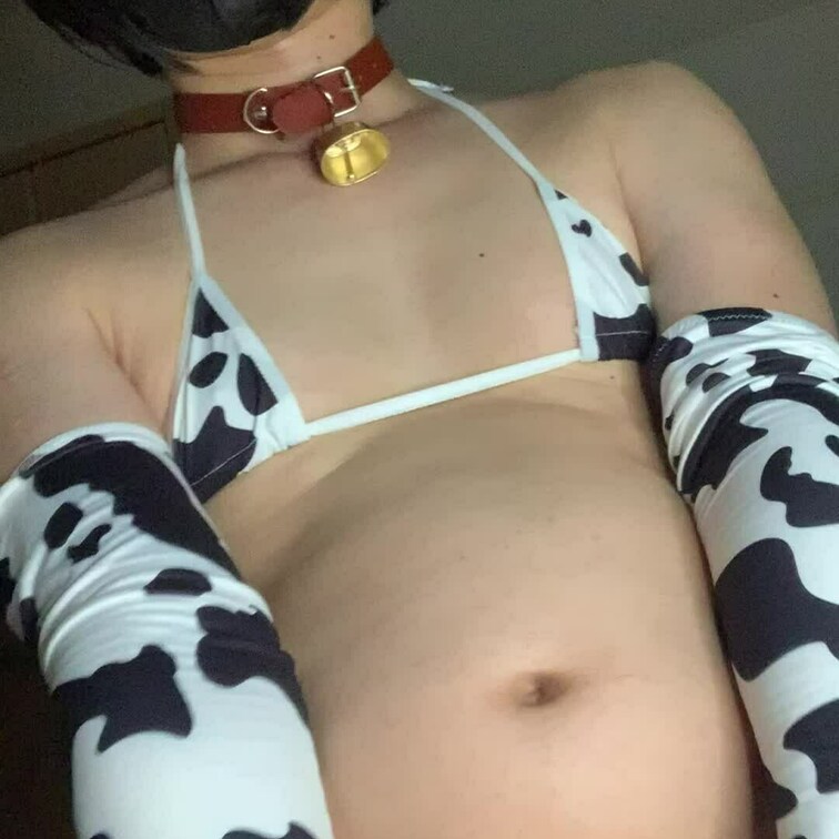 擬似騎乗