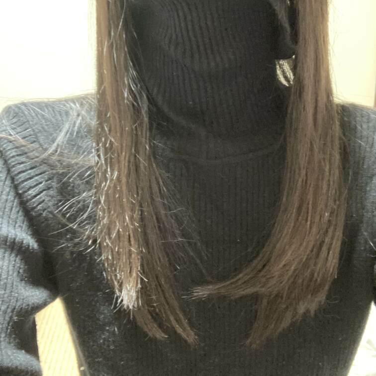 無料セット
