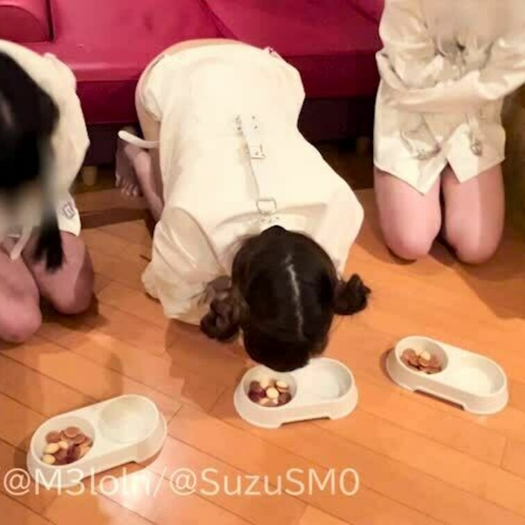 あいりちゃんくっきーちゃんと！
○○○束具わんちゃんでおやつタイム🐶Bアングル