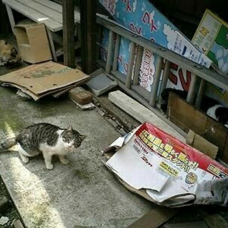 神社のお祭りのあと