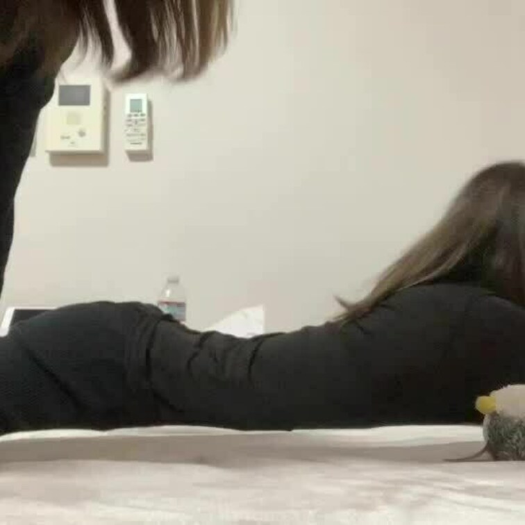 皆様いつもご購入ありがとうございます☺️
今回のくすぐり動画はこちらです👍

是非見てあげてくださいね(  ˆОˆ
