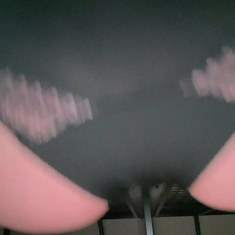 おしがまちゅう