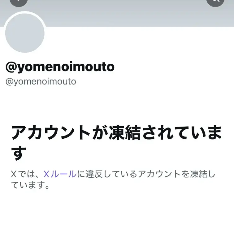 X凍結されてしまいやした…
今までのクソガキを攻略していく臨場感溢れる投稿が全てなくなってしまった…