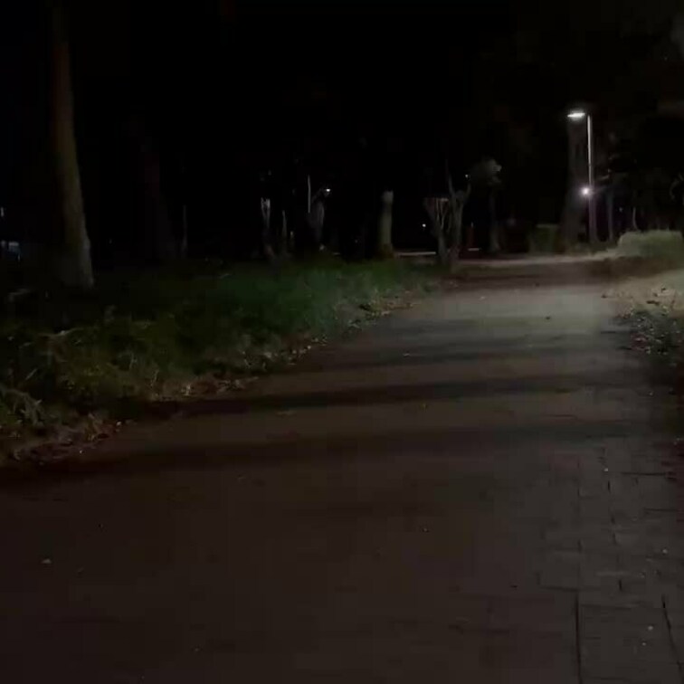 募集でちかんごっこ-11-

夏夜と遊びたい方は、ぜひコメント下さい。
もしくはX (Twitter）のDMを下さ