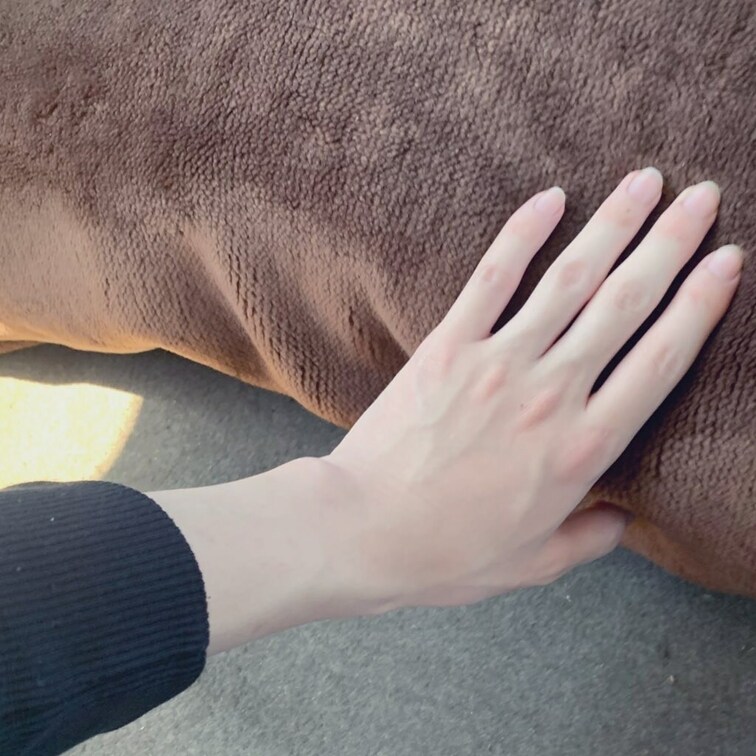 過去の手と今の手
白爪があるかないかでは結構変わると思うけど
どんどん年齢ごとに手や身体の形が変わるって思う時嫌です