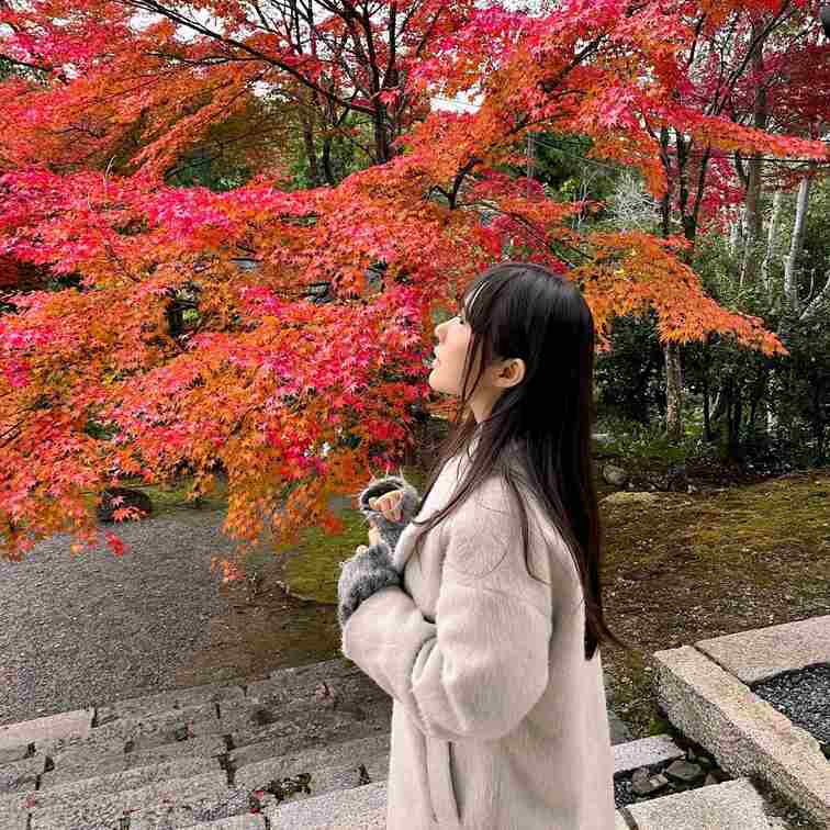 昨日の京都の紅葉🍁

かなり見頃でした✨

日本の四季を感じると
日本に生まれて良かった〜
っておもう💓