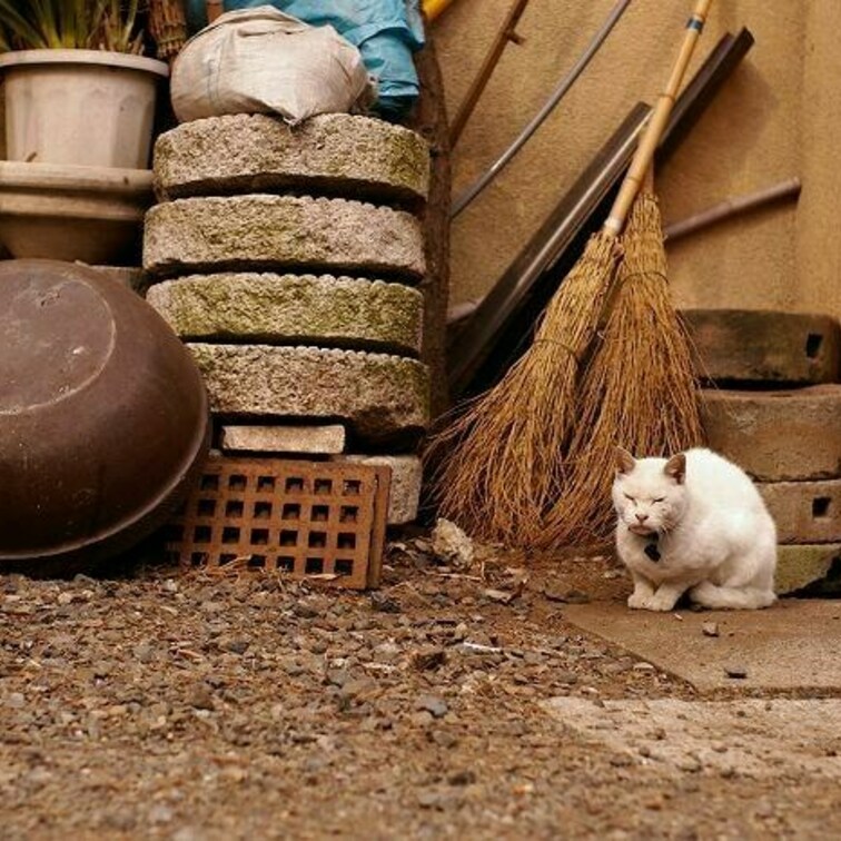 好きな写真