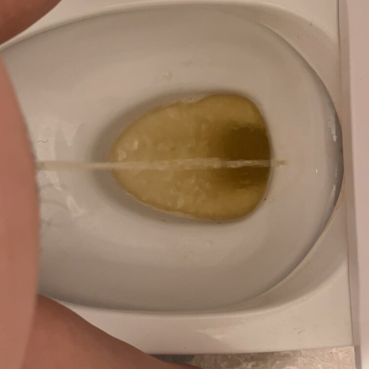 立ちしょん（◜𖥦◝）