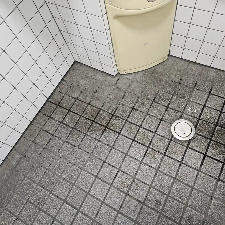 【撮影後】出先でみつけたトイレで潮吹きオナ後の床ちゃん🐳