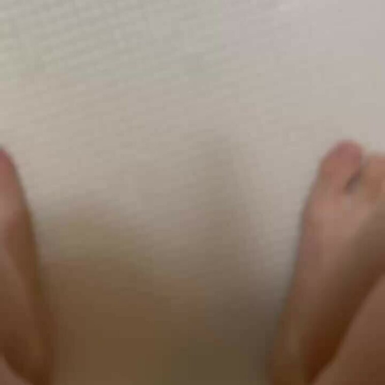 今日は黄色い！🐥
