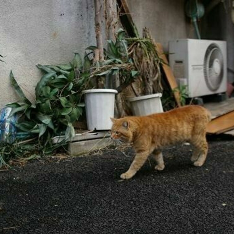 笹塚