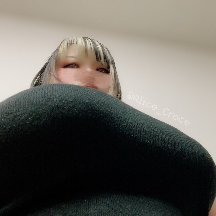 Kカップの圧(σ･ω･)σ