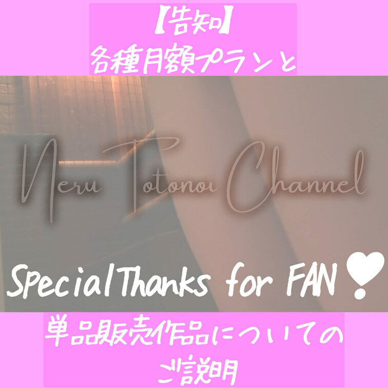2025.2.1 更新❣
ととのいねるです🐱🤍
単品販売動画と各種プランについてご説明させて頂きます^ ̳ᴗ ̫ ᴗ