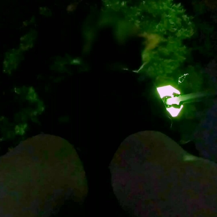 【無料動画】遠隔ローター事後、近くの公園でセ○クス【２分】