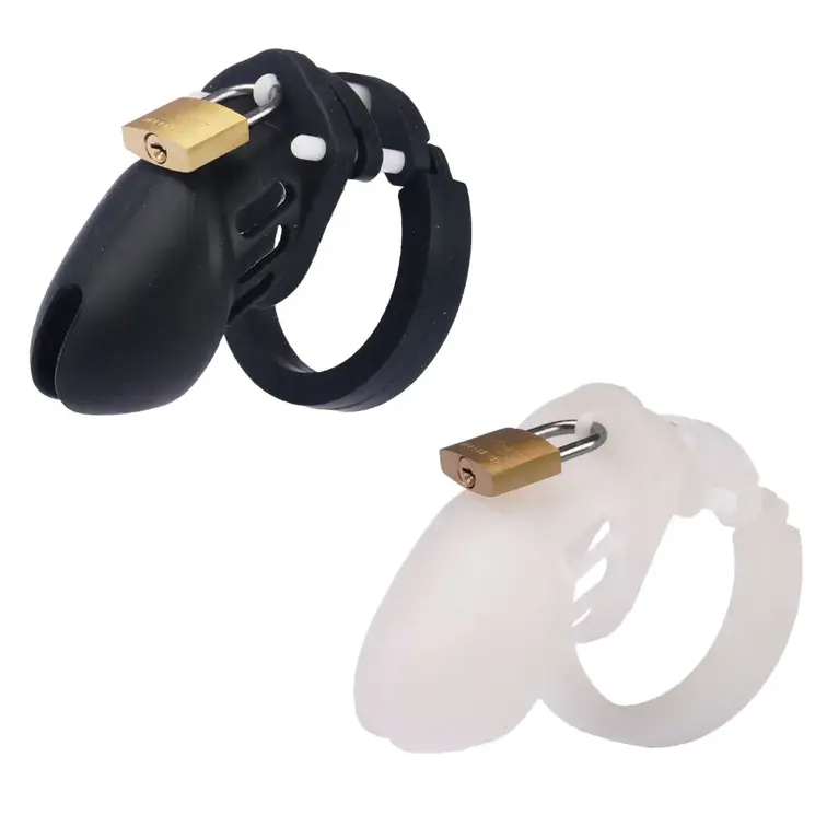 初めて買った貞操帯はcb6000ですが、
すぐにcb6000sに買い換えました
15年ぐらい前のことになります
そ