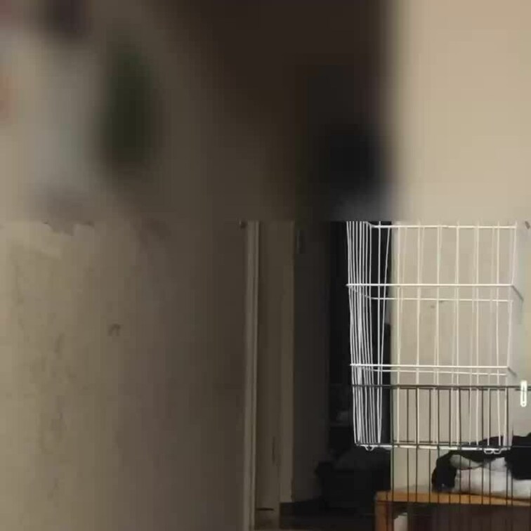 久々の投稿がしょぼいんですけど…