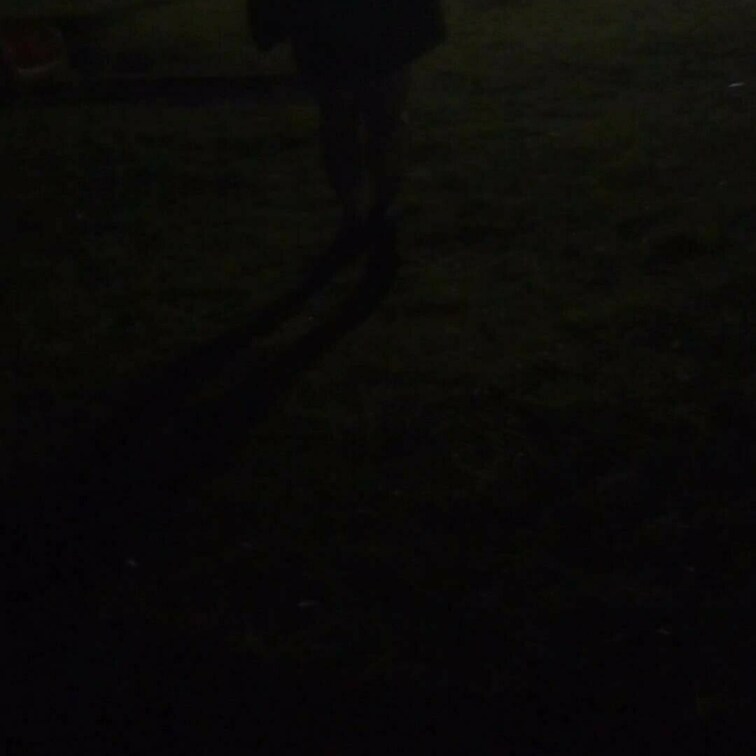 夜の公園🏞で野〇露出撮影えっちすぎました🤭︎‪💕
住宅街が近く、歩行者が多くてスリル満点でした😍
