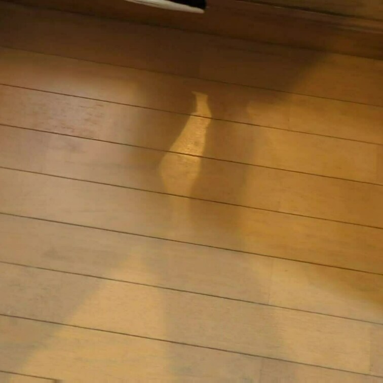 ミニスカで掃除をする動画【其の1】