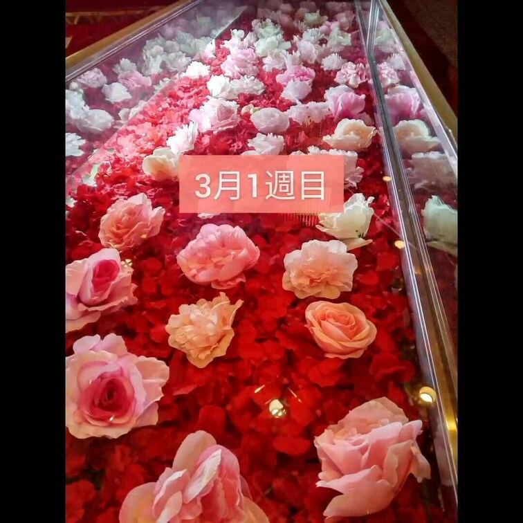 3月1週目