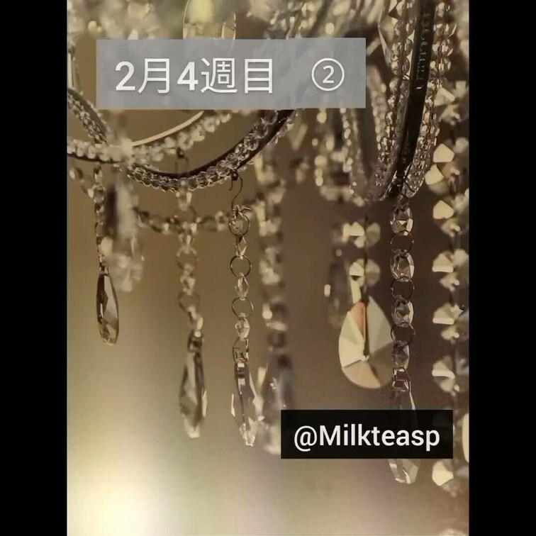 2月4週目②