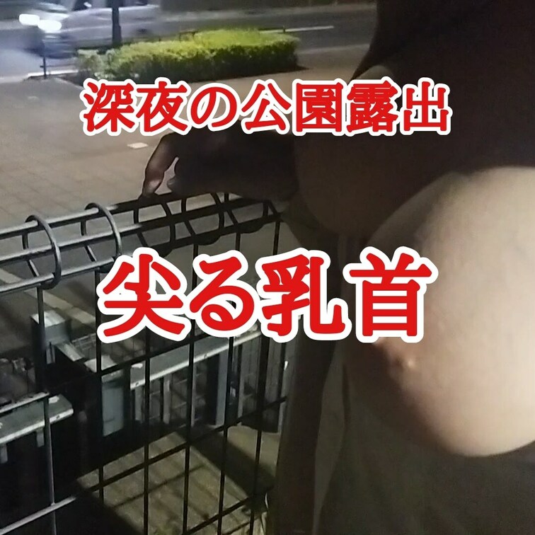 深夜の公園にて
コートの下はカップレスブラ
ブラウス全開にして
乳輪、乳首を通りに向けて
晒す巨乳OL

ど