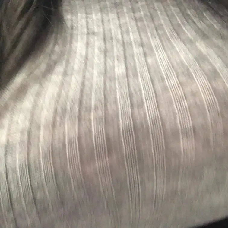 むちむちが歩いております