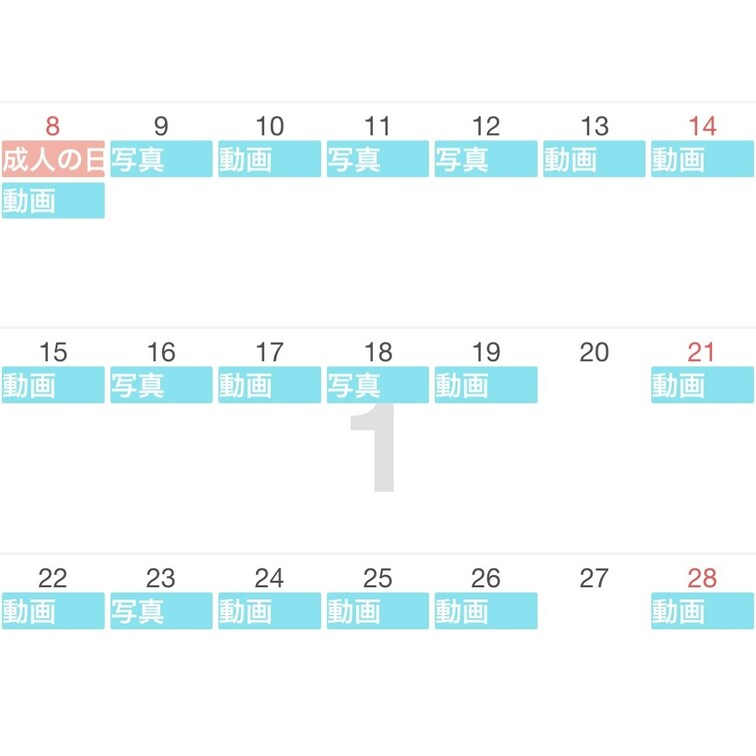 2024年1月から5月までの活動をまとめてみました〜！