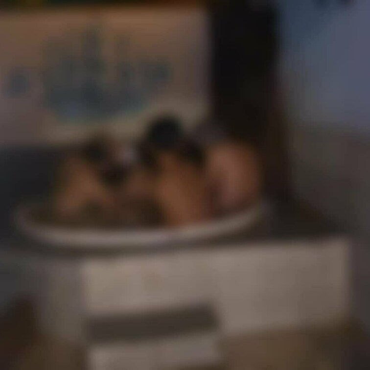 今回はワニさん達と二次会へ笑