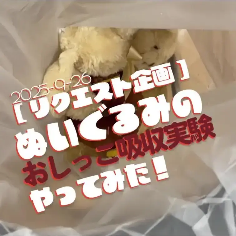 2025-9-26
[【リクエスト企画】ぬいぐるみのおしっこ吸収実験、やってみた！]
今回はファンの方からいただいた
