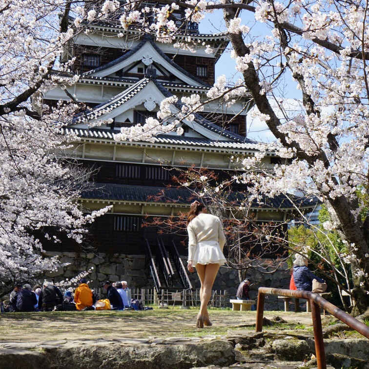 こんばんは!サクラ🌸ちっちゃいますね😖
でも、チューリップとかまだまだ見頃のキレイなものに溢れているから、遠出して癒さ