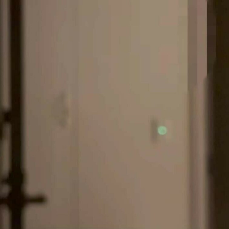 昨日の脱衣動画が撮れました❤️
 マニアな皆さんいかがですか？？
 ぷるんっと露わになる乳がたまりませんよ❤️
 