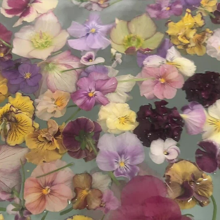 明日は誕生日🏵️✨

だから、華麗に写真やムービーを飾ろうと思ったら思ったよりも80倍お花を操るの難しかった。。。笑